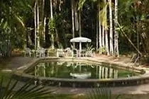 Rainforest Grove Hotel
